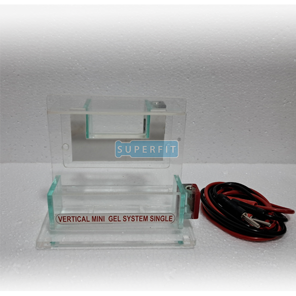 Electrophorosis Vertical