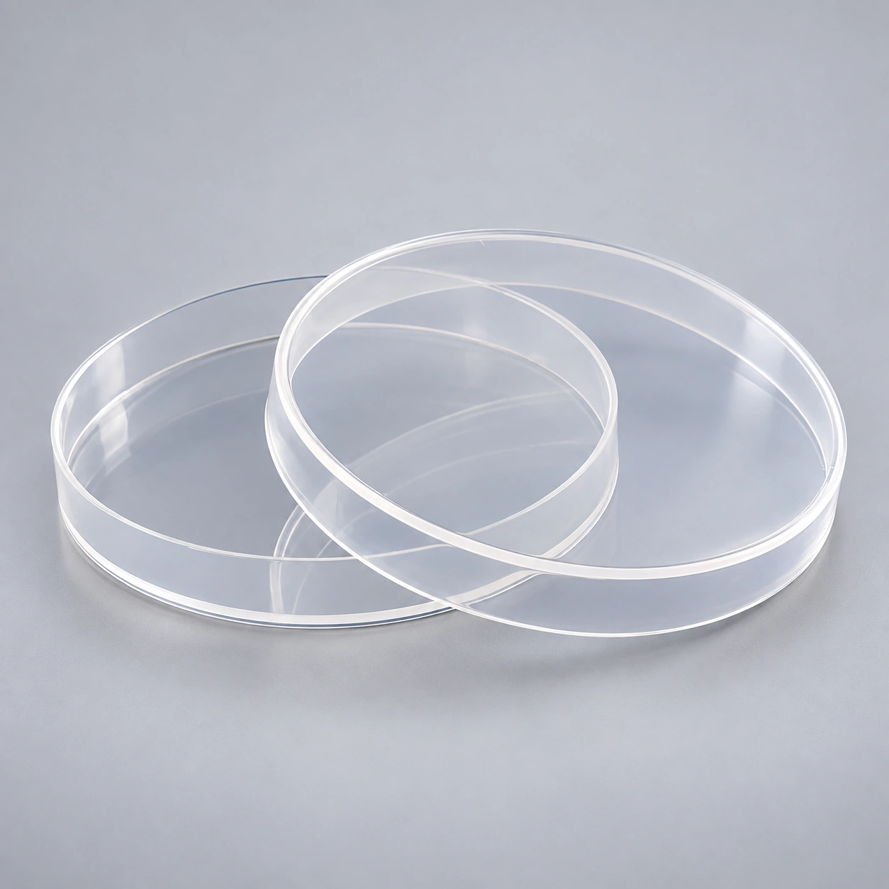 PETRI DISH